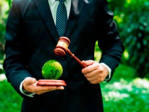 Abogados Ambientalistas