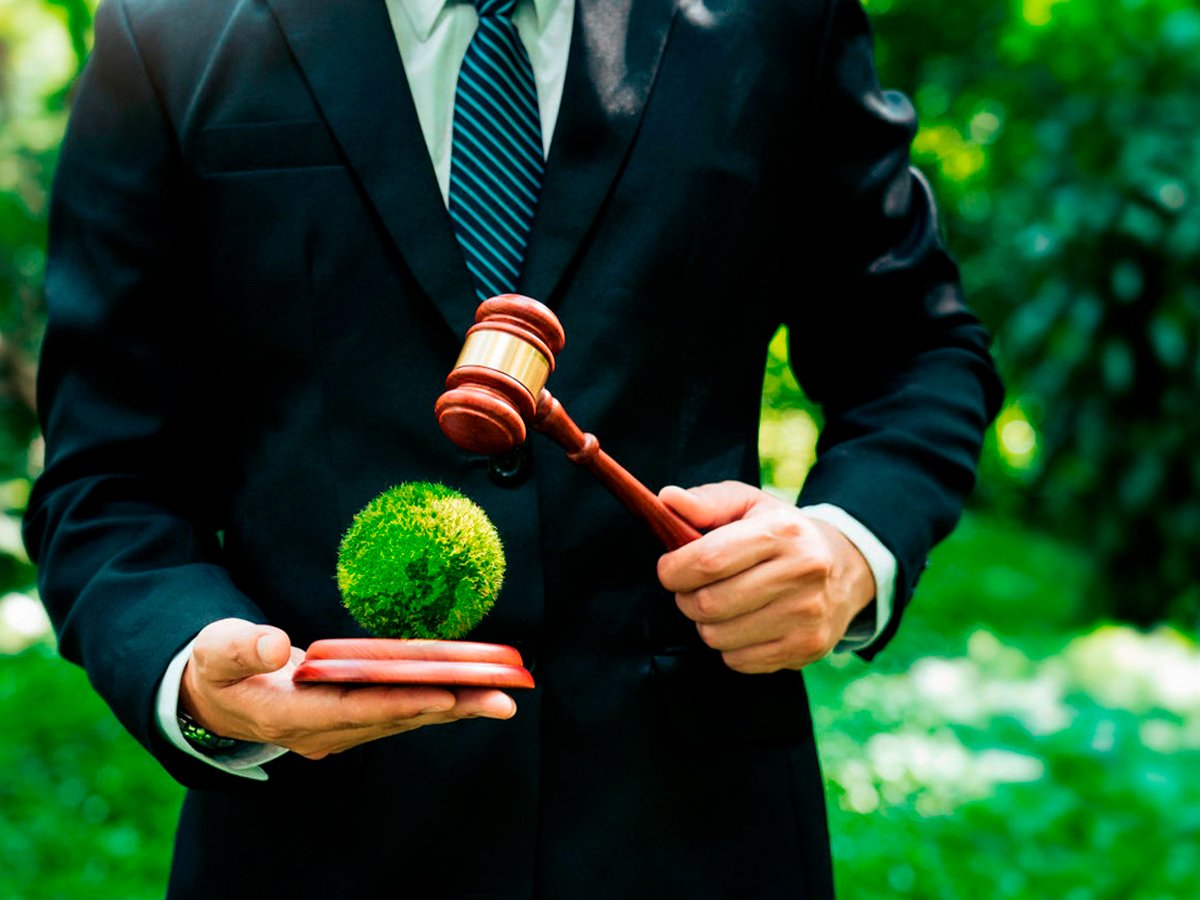 Abogados Ambientalistas
