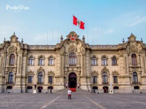 Abogados en Contrataciones con el Estado