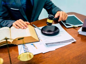 abogados constitucionalistas