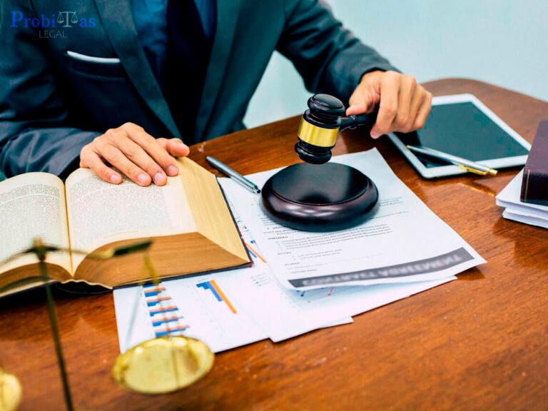 abogados constitucionalistas