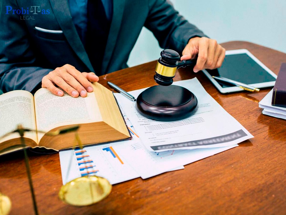abogados constitucionalistas