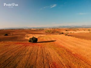 Abogados en Adquisición y Gestión de Tierras