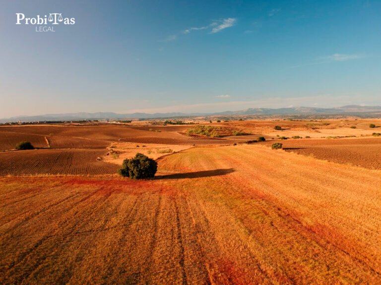Abogados en Adquisición y Gestión de Tierras