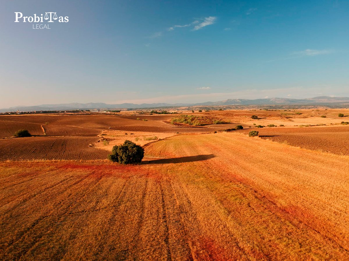 Abogados en Adquisición y Gestión de Tierras