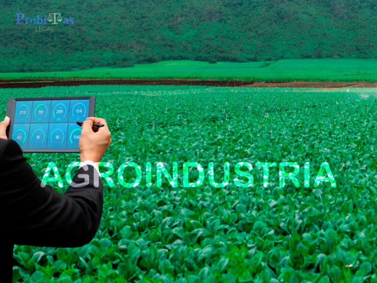 Abogados en Agroindustria