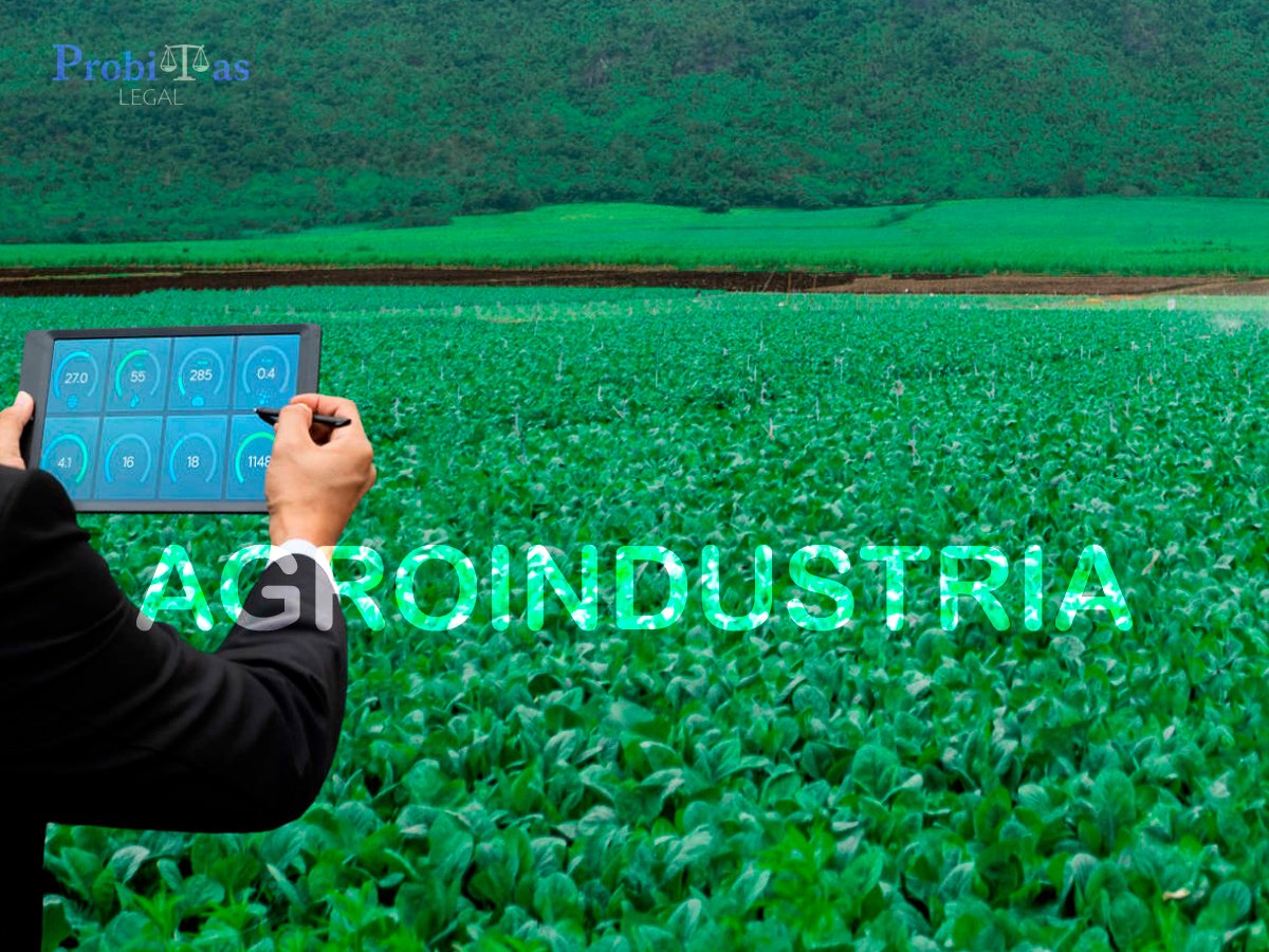 Abogados en Agroindustria
